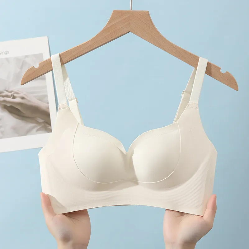 David Women's Bras-18