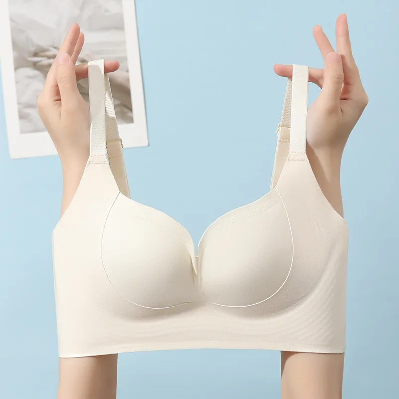 David Women's Bras-2