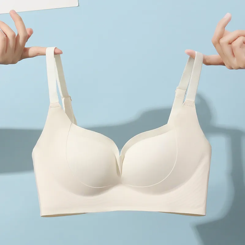 David Women's Bras-15