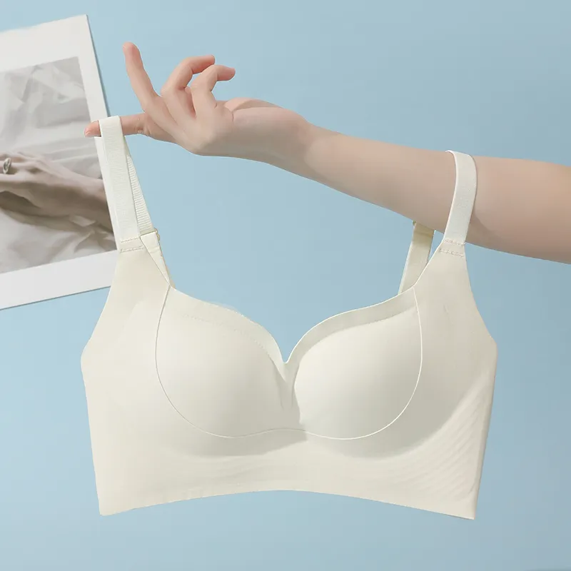 David Women's Bras-3