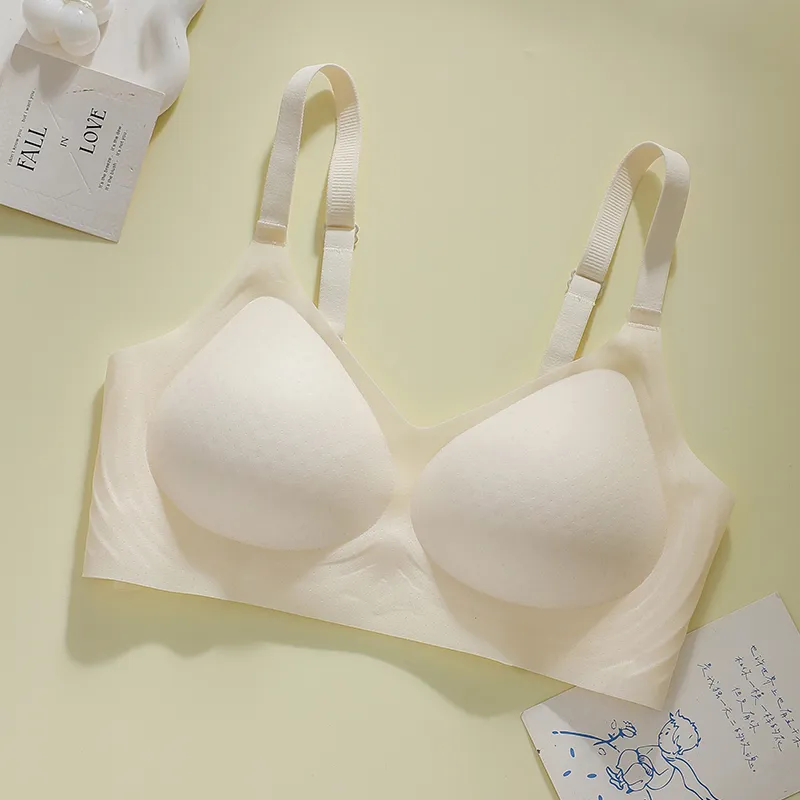 David Women's Bras-5