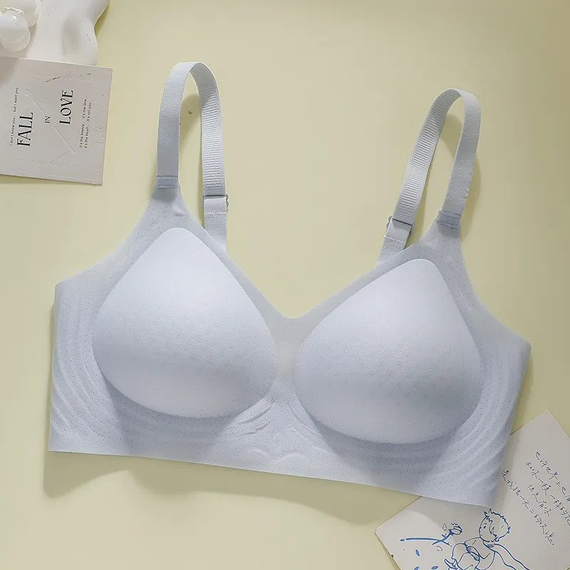 David Women's Bras-17