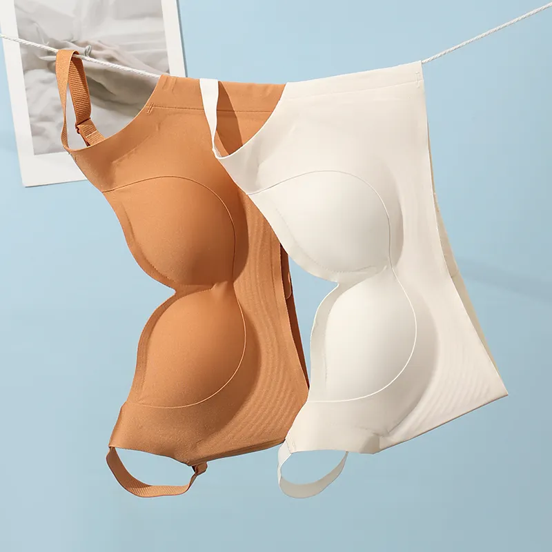 David Women's Bras-11
