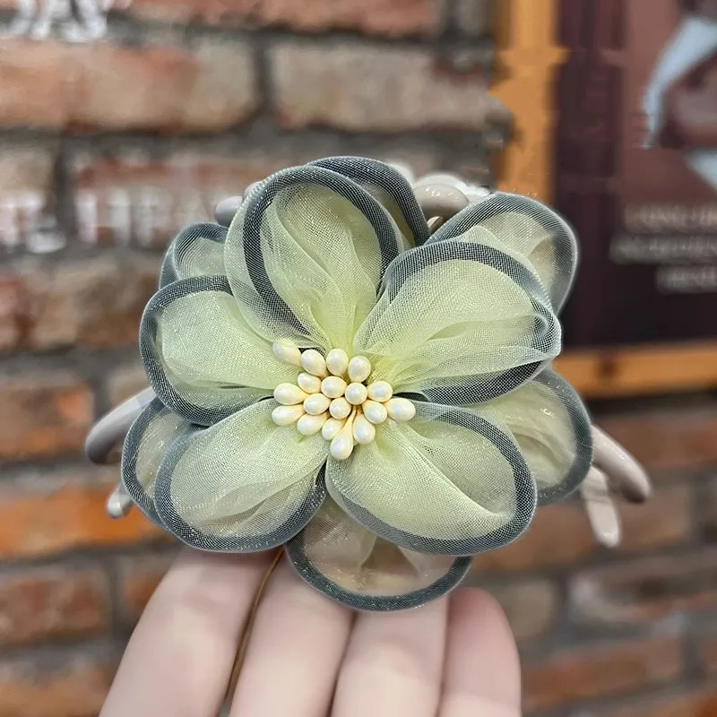 SENDME Acrylic Hair Clips Women's-2