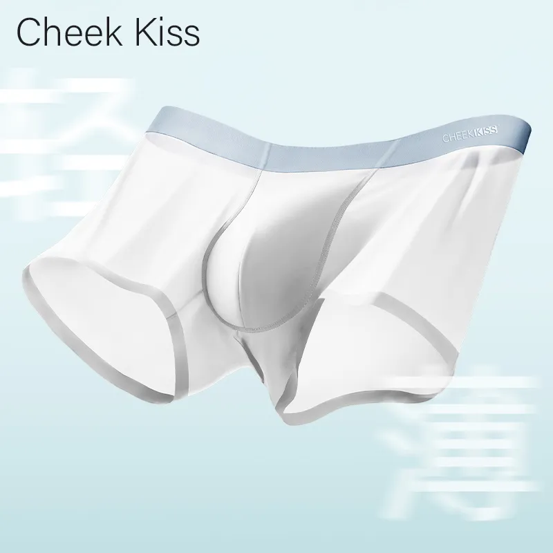 Cheekkiss Underwear Gift Boxes Men's 4 Pack-15