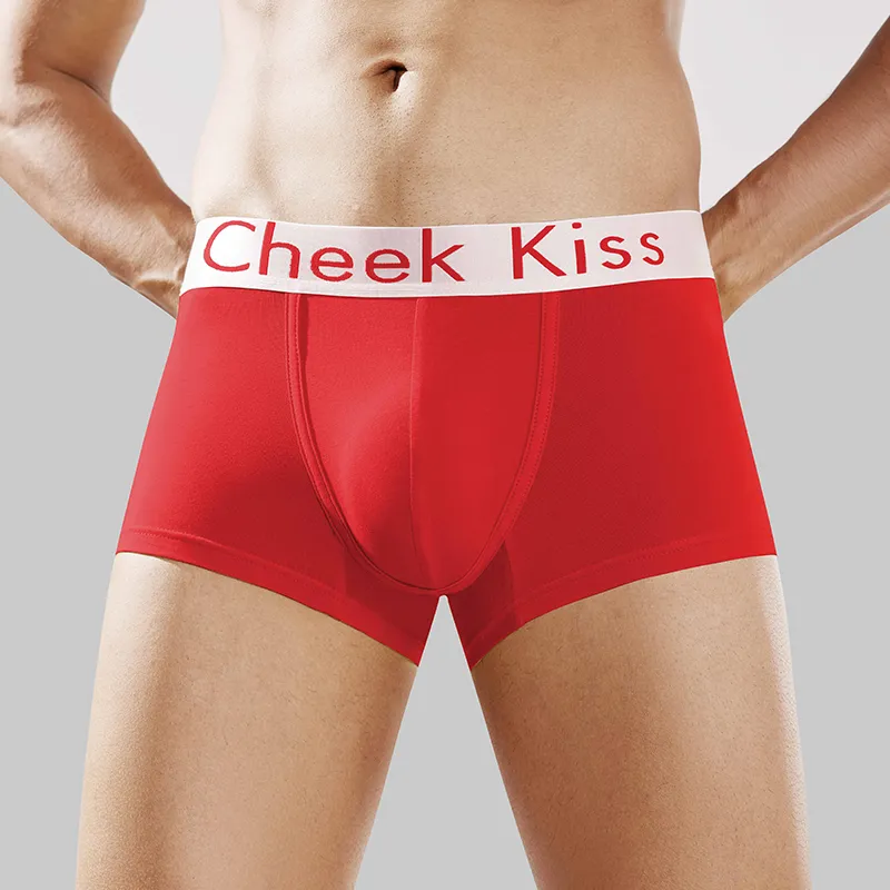Cheekkiss Underwear Gift Boxes Men's 4 Pack-12