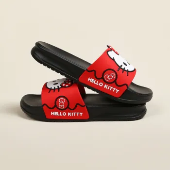 Sanrio Slippers / Home Slippers