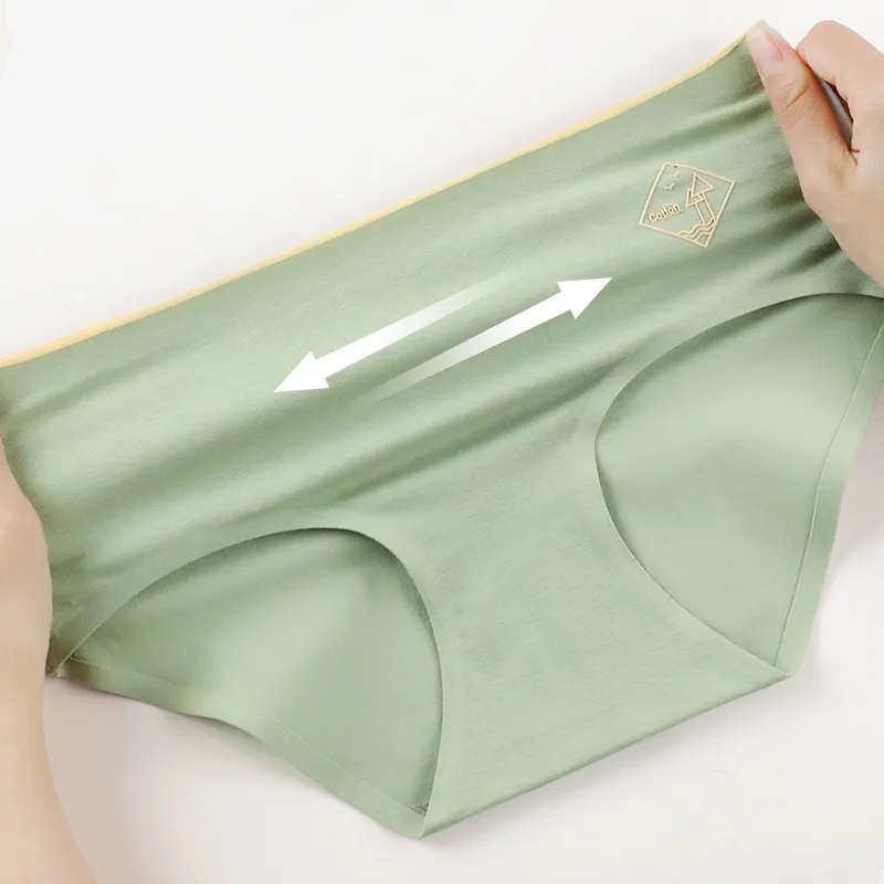 SHIWAJI Women's Underpants-17