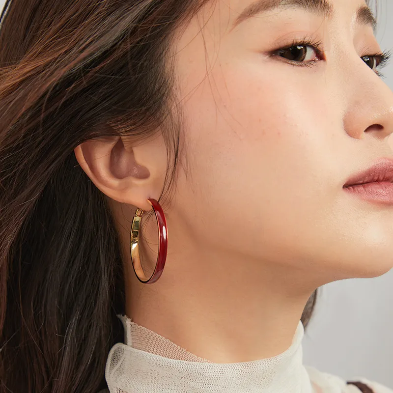 ZEGL 925 Silver Needles Earrings Women's-8