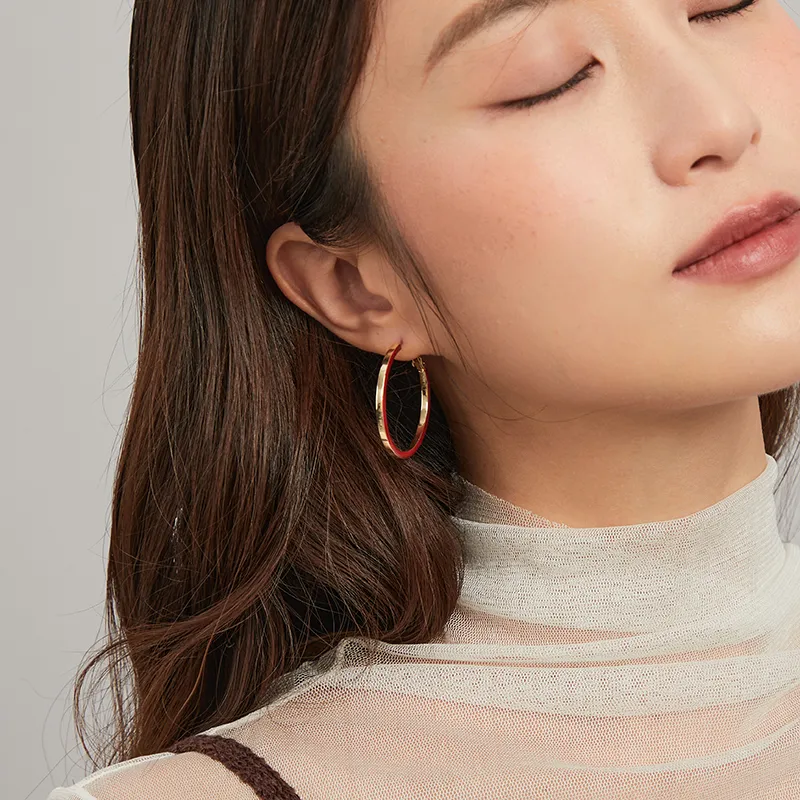 ZEGL 925 Silver Needles Earrings Women's-7