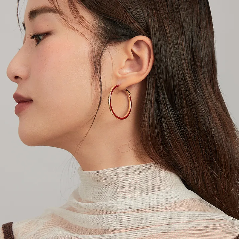 ZEGL 925 Silver Needles Earrings Women's-3