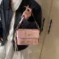 Pink with Charm+Shopping Bag