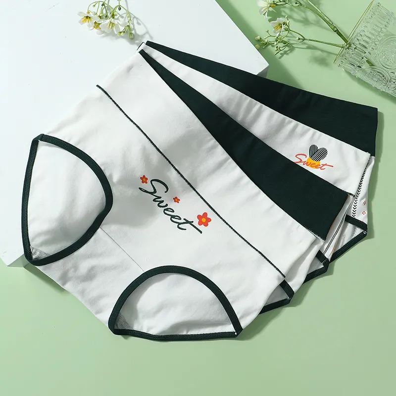 Lanza Underpants Women's 4 Pack Mixed Color-4