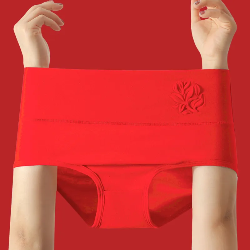 Lanza Underpants Women's Combo Set-2