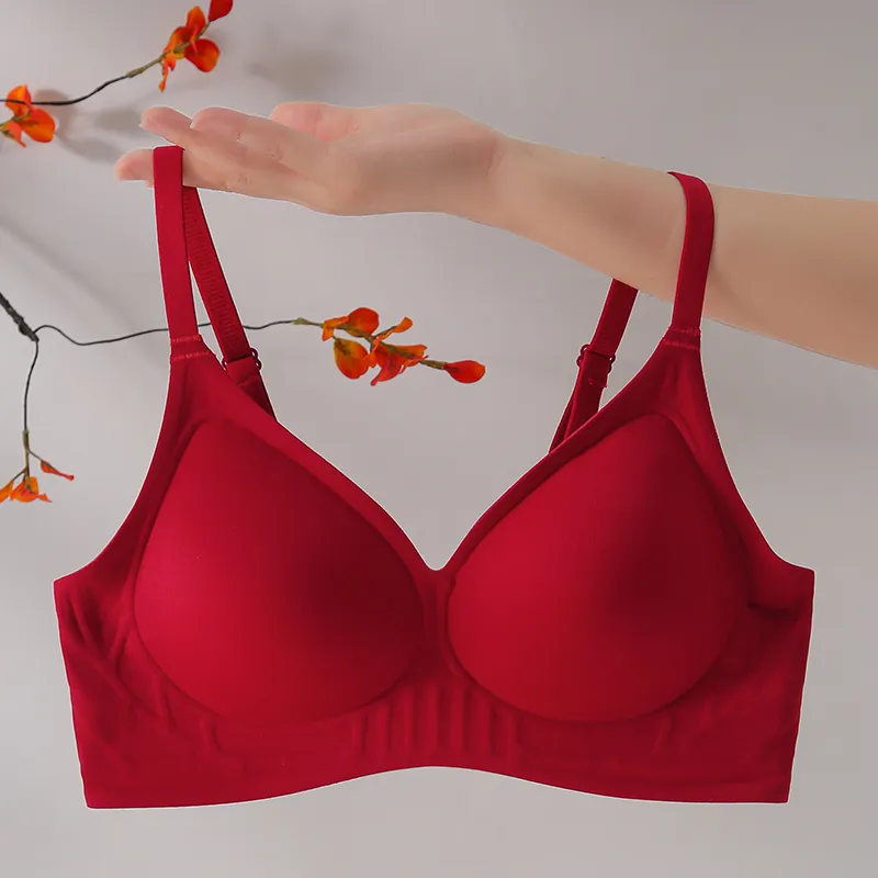 Lanza Bra Women's 2 Pack Burgundy-8
