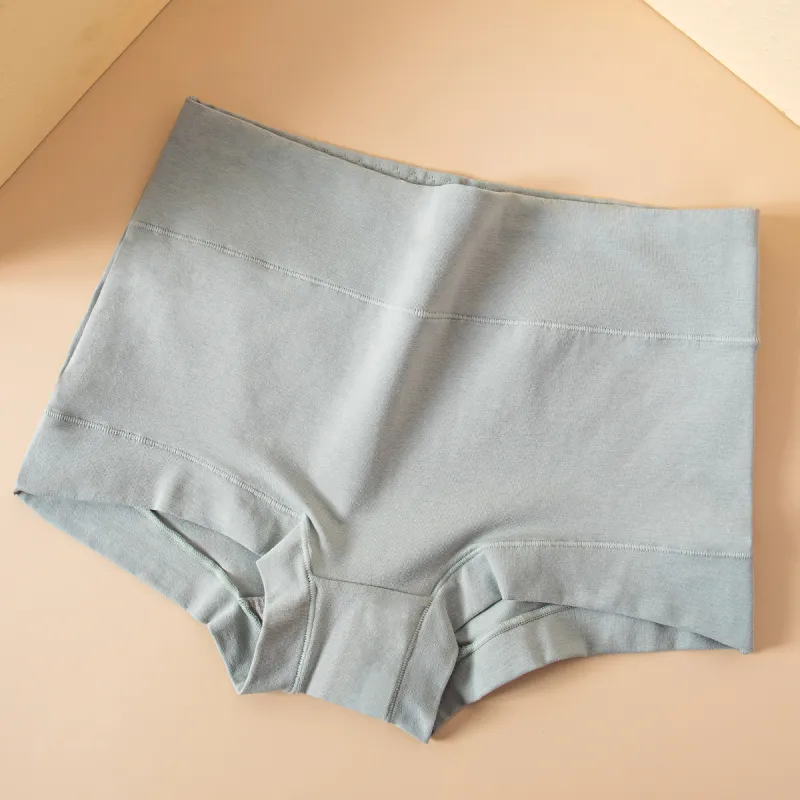 Lanza Underpants Women's 4 Pack-4