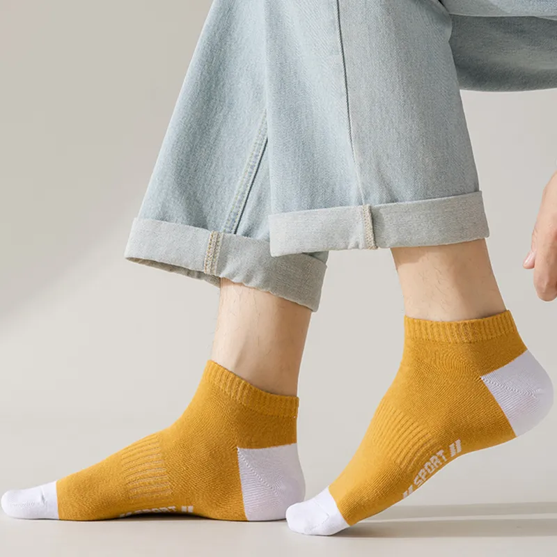 Lanza Men Socks-3