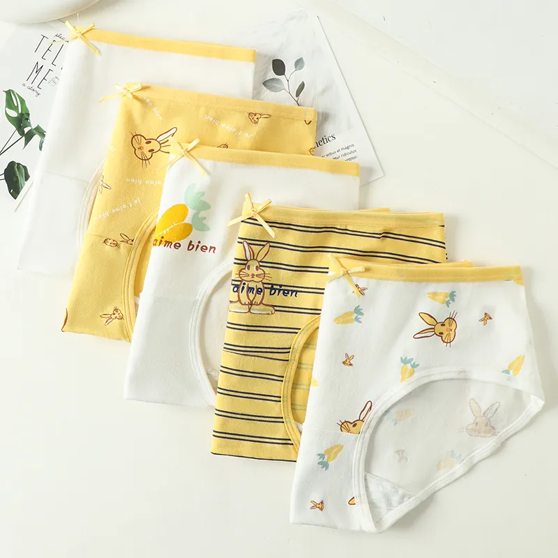 Lanza Underpants Women's Combo Set-4