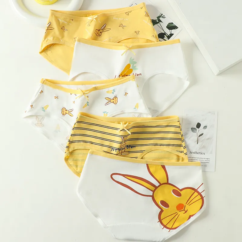 Lanza Underpants Women's Combo Set-1