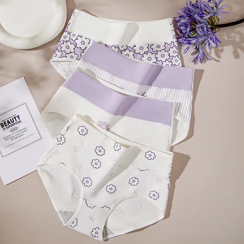 Lanza Underpants Women's Combo Set-3