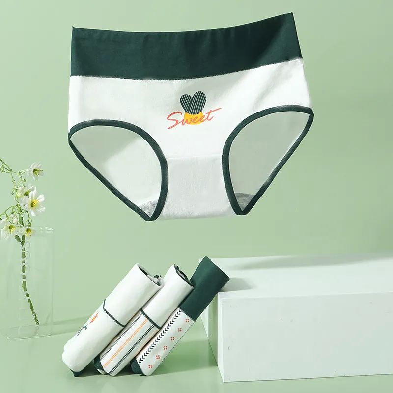 Lanza Underpants Women's 4 Pack Mixed Color-2