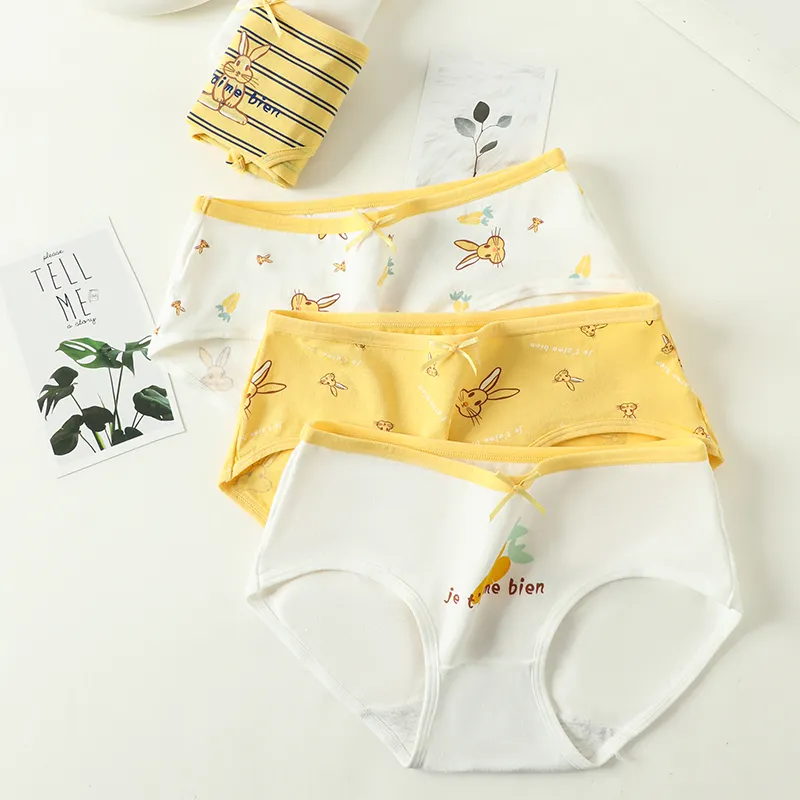 Lanza Underpants Women's Combo Set-2