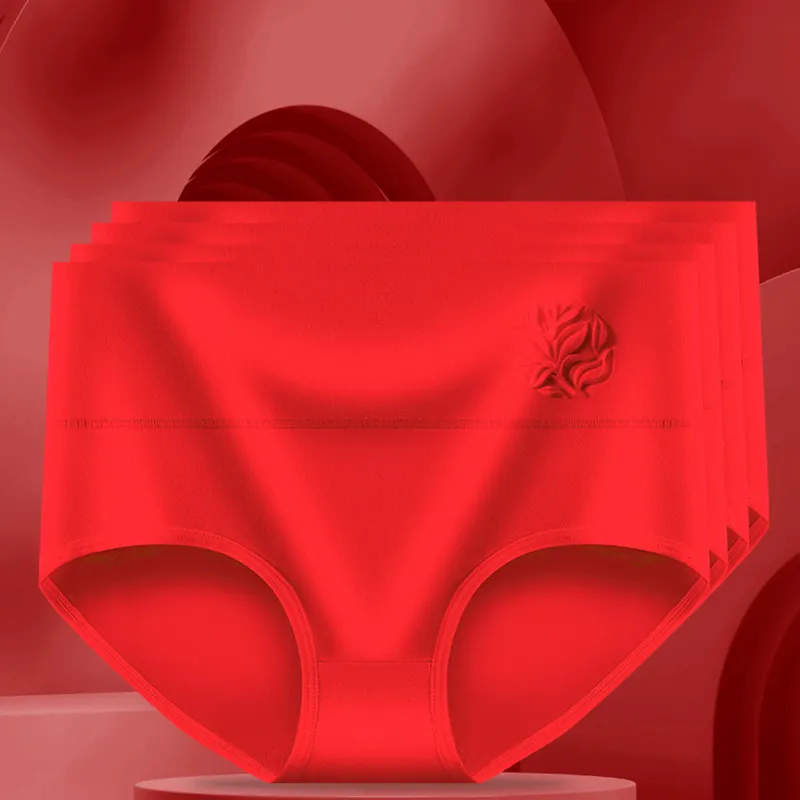 Lanza Underpants Women's Combo Set-1