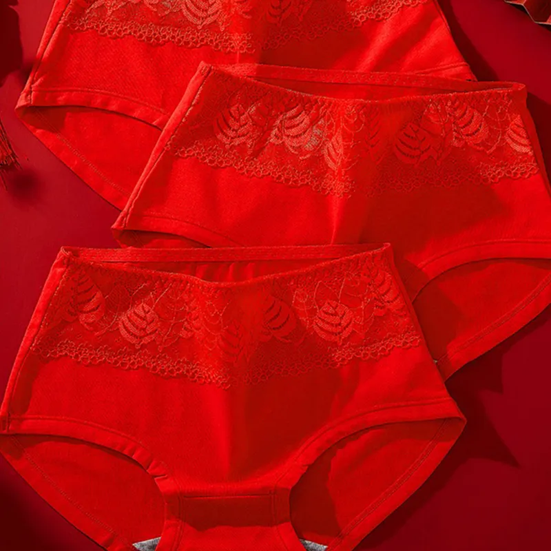 Lanza Underpants Women's Combo Set-5