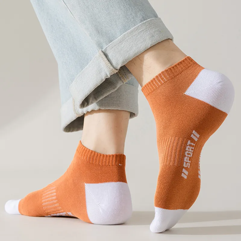 Lanza Men Socks-2
