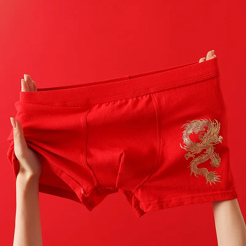 Lanza Underpants Men's 1 Pack Auspicious Year Of The Dragon-1