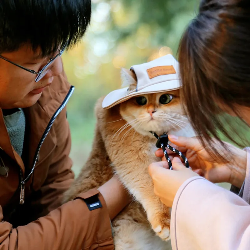 Smiletime Pet Clothing-6
