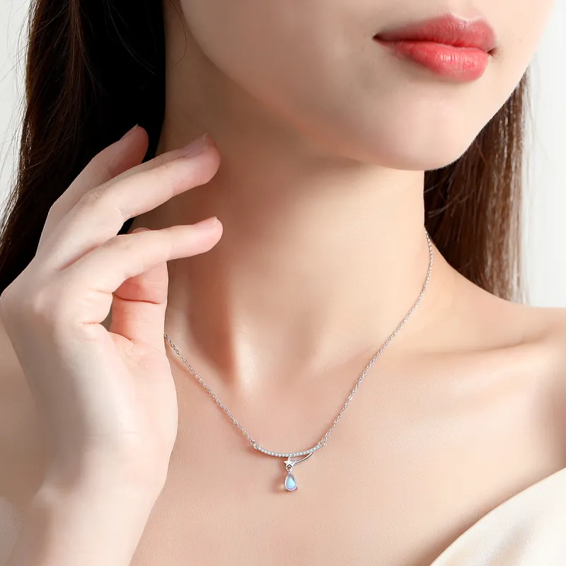 2801 S925 Silver Necklaces Women's-4