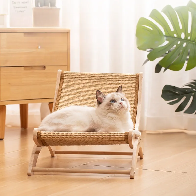 Cute sentient beings Pet Toys-5