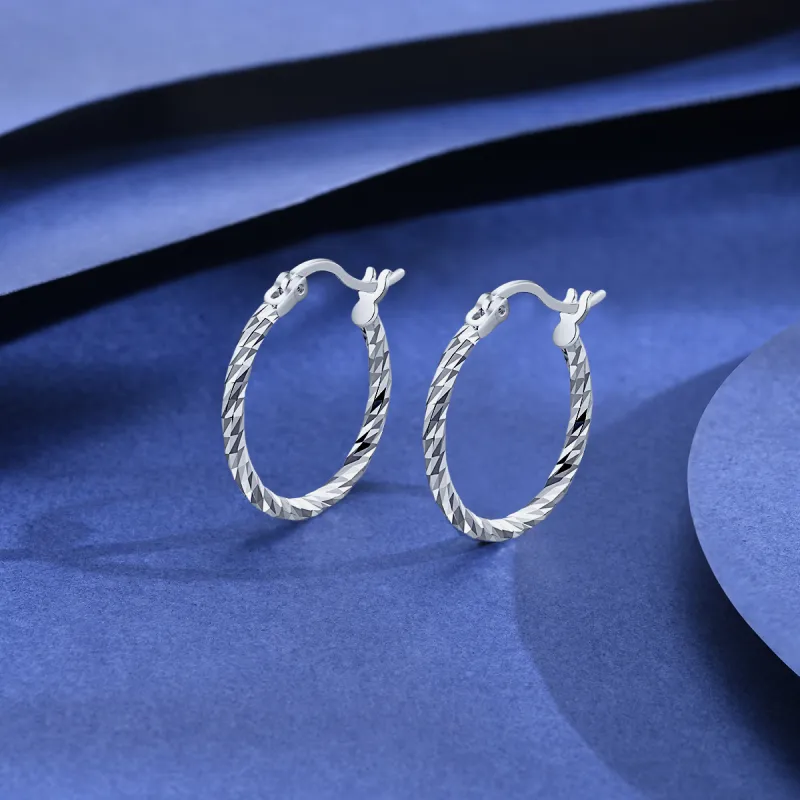 LIANDUO S925 Silver Earrings Women's-2