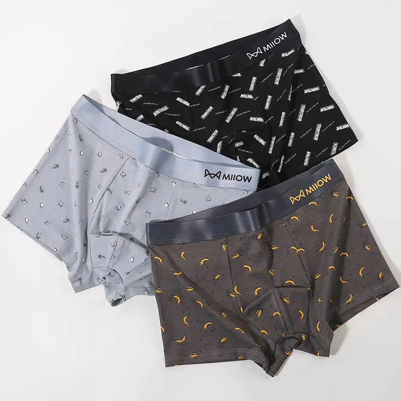 MIIOW Men Underpants-14