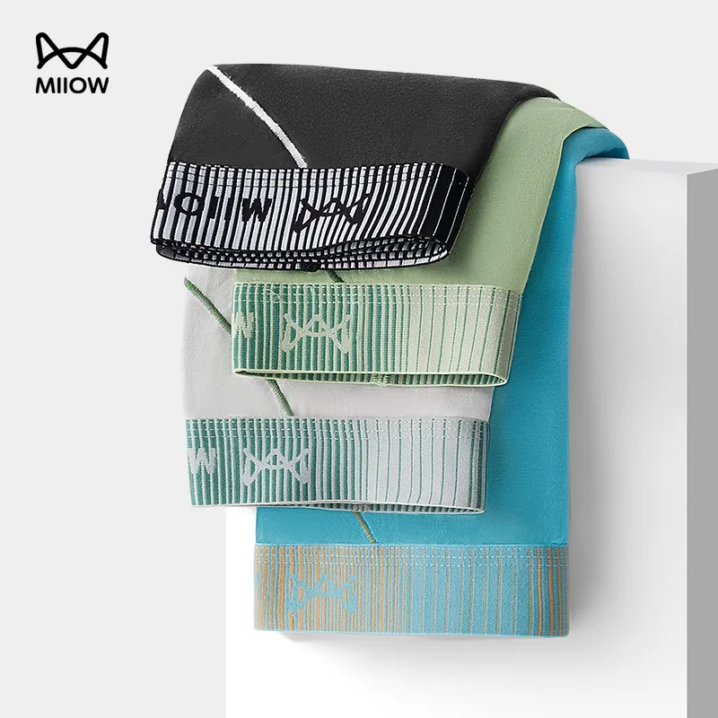 MIIOW Underwear Gift Box Men's Box 3 Pack-2