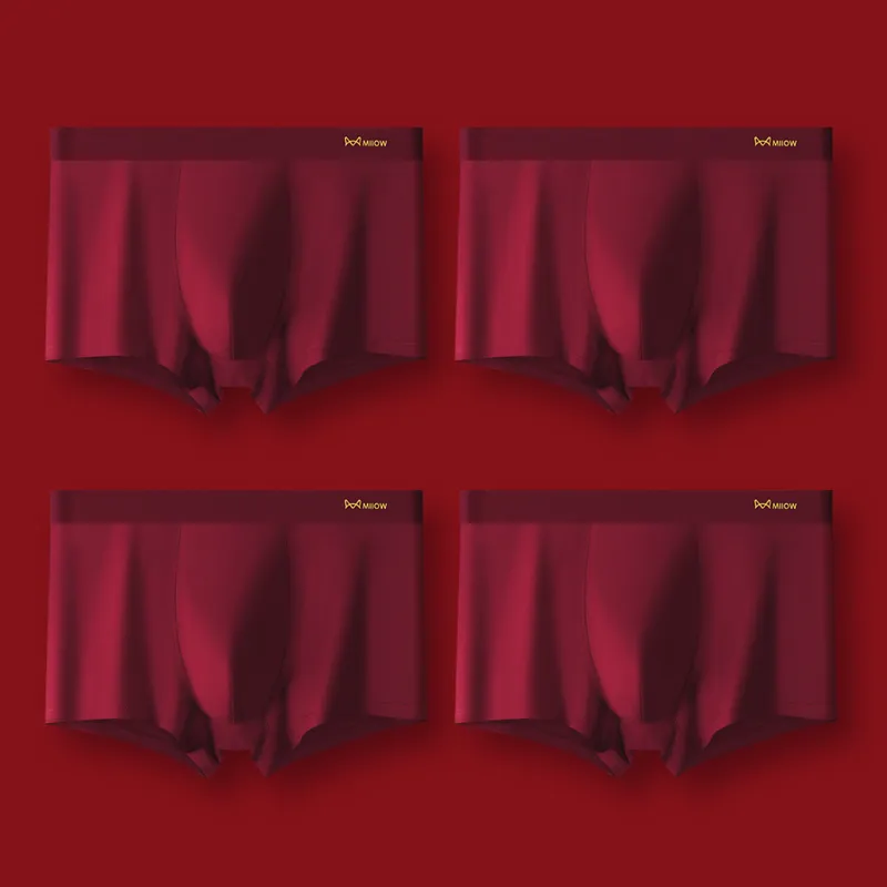 MIIOW Underpants Men's Combo Set-1