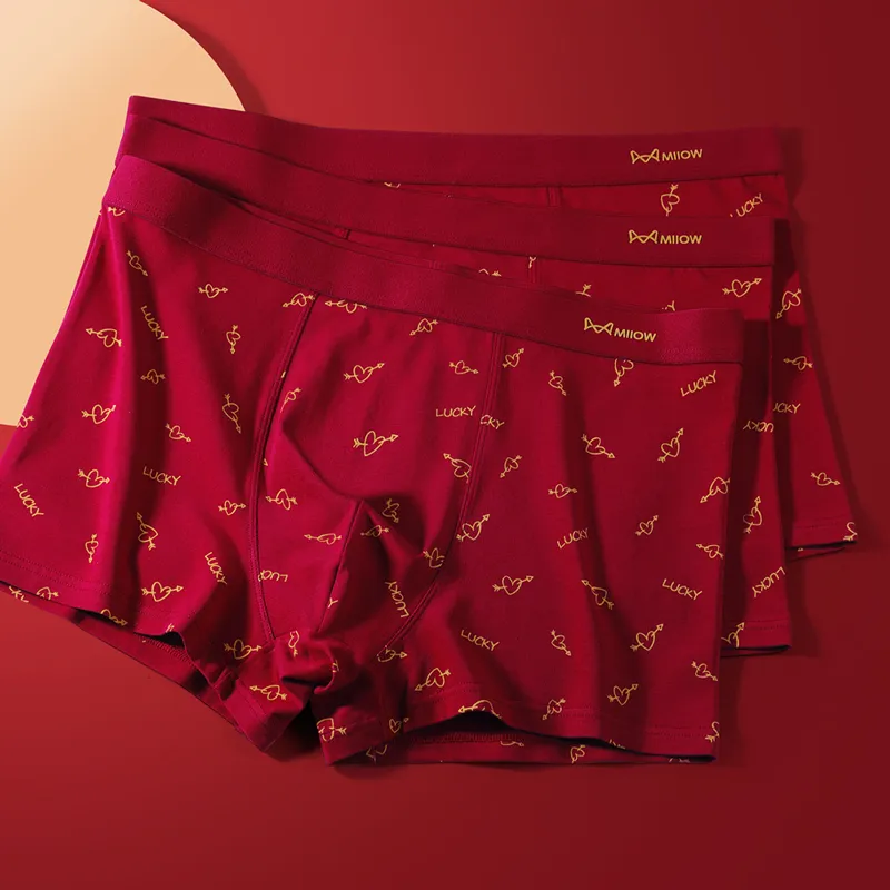 MIIOW Underpants Men's Combo Set-5