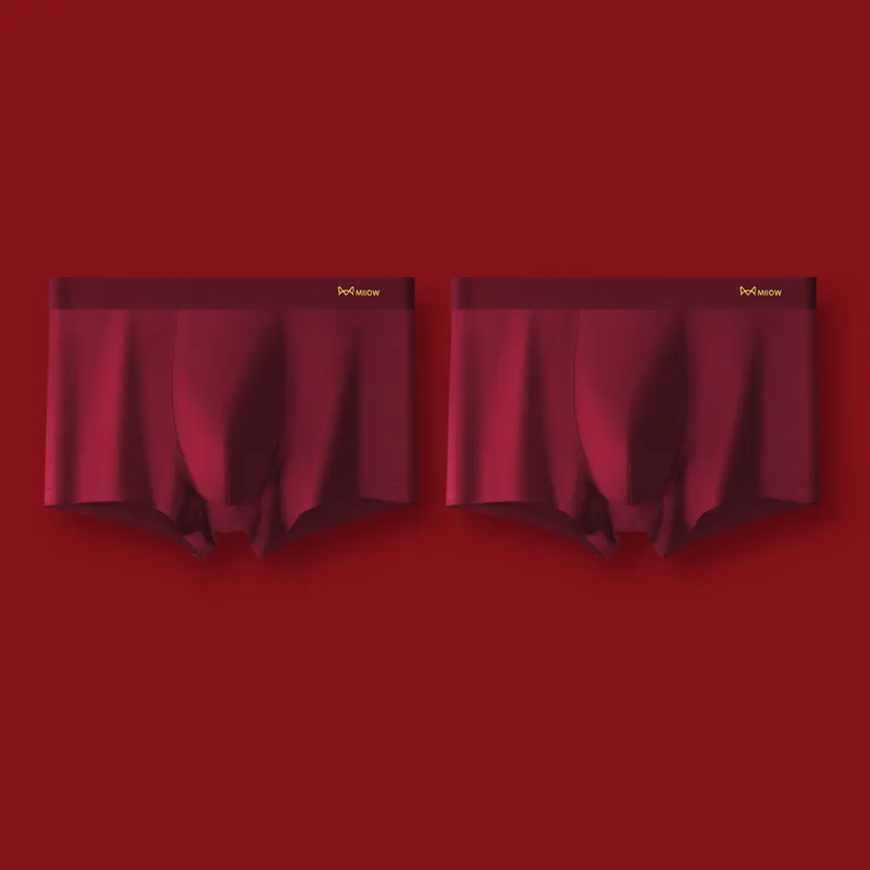 MIIOW Underpants Men's Combo Set-10