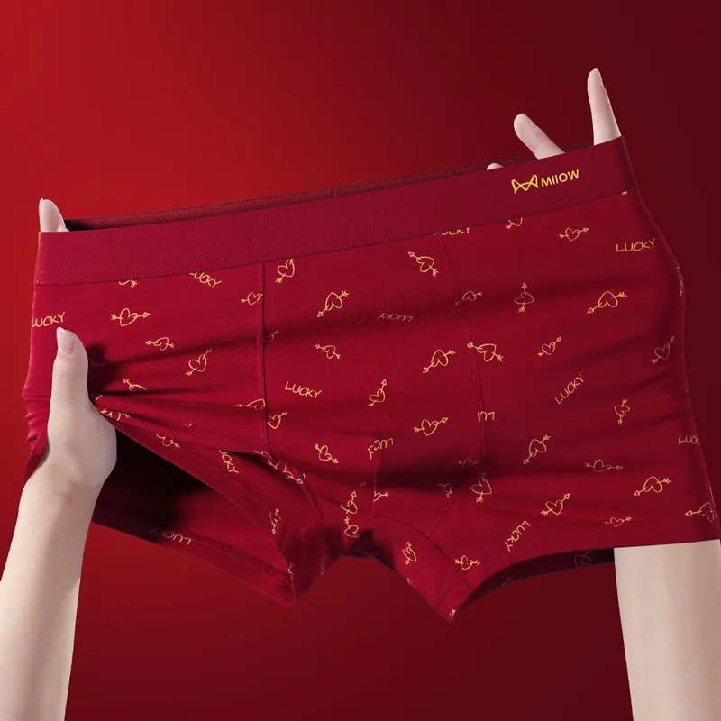 MIIOW Underpants Men's Combo Set-6