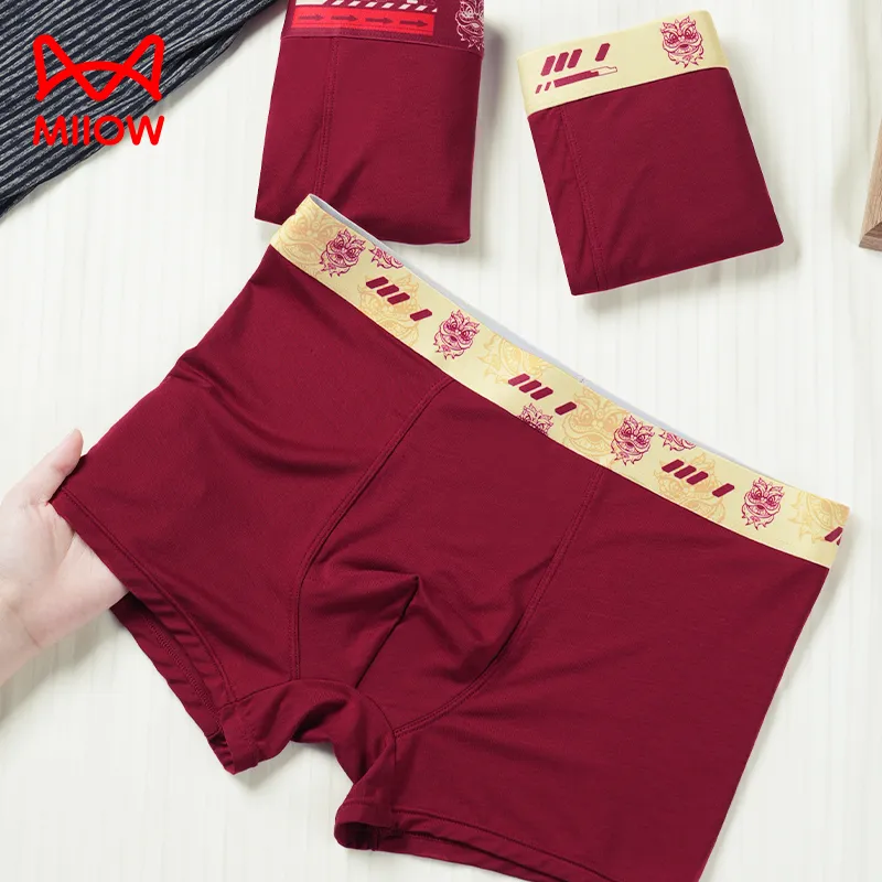 MIIOW Men Underpants-8