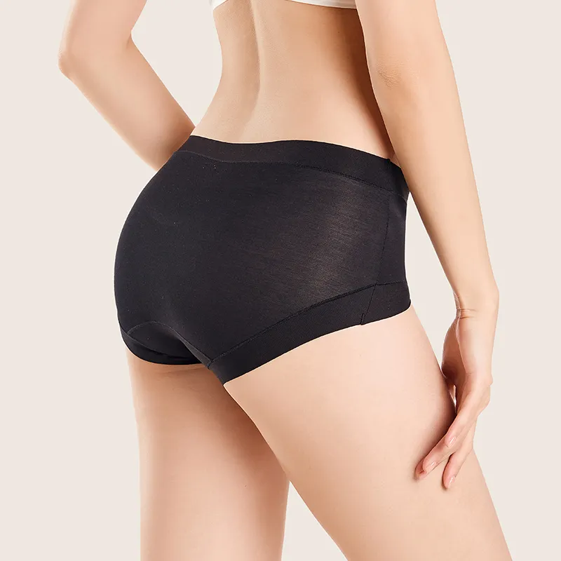 Aannsfam Underpants Women's 3 Pack-3