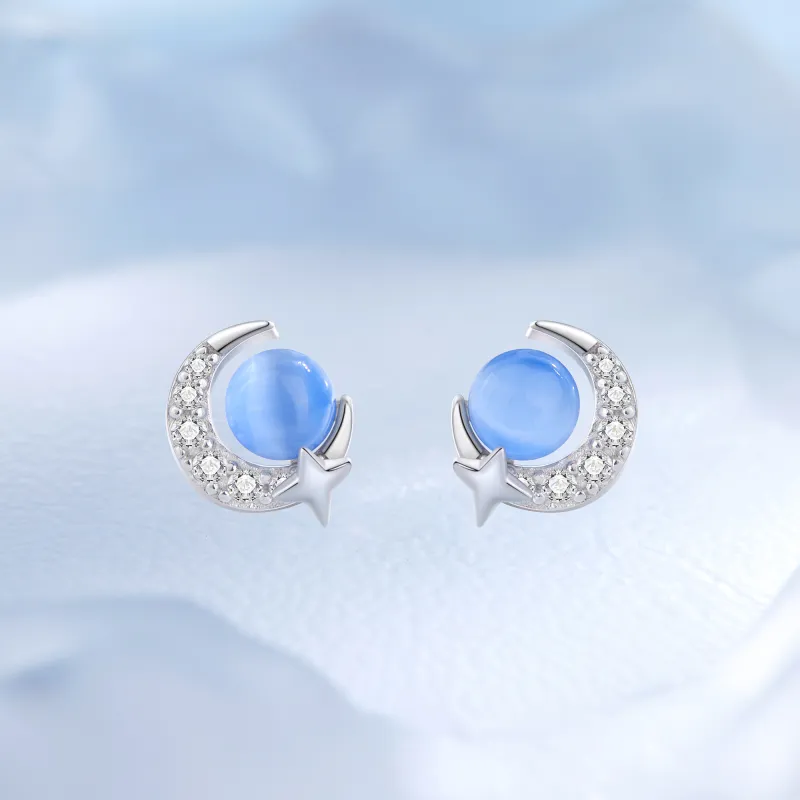 OWNCOOL S999 Fine Silver Stud Earrings Women's-1