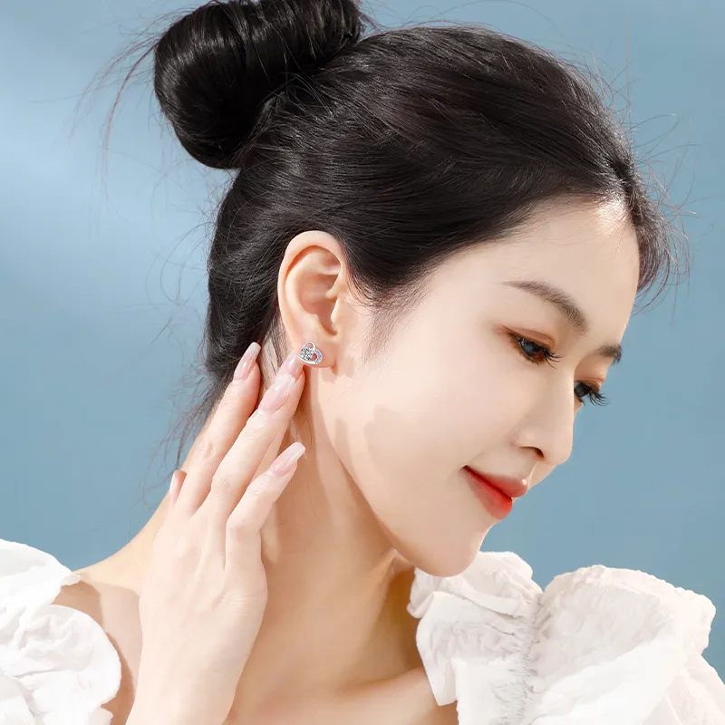 OWNCOOL S925 Silver Stud Earrings Unisex-9