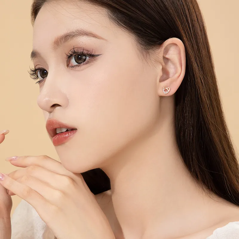 OWNCOOL S925 Sterling Silver Stud Earrings, Gift Box Set Women's-20