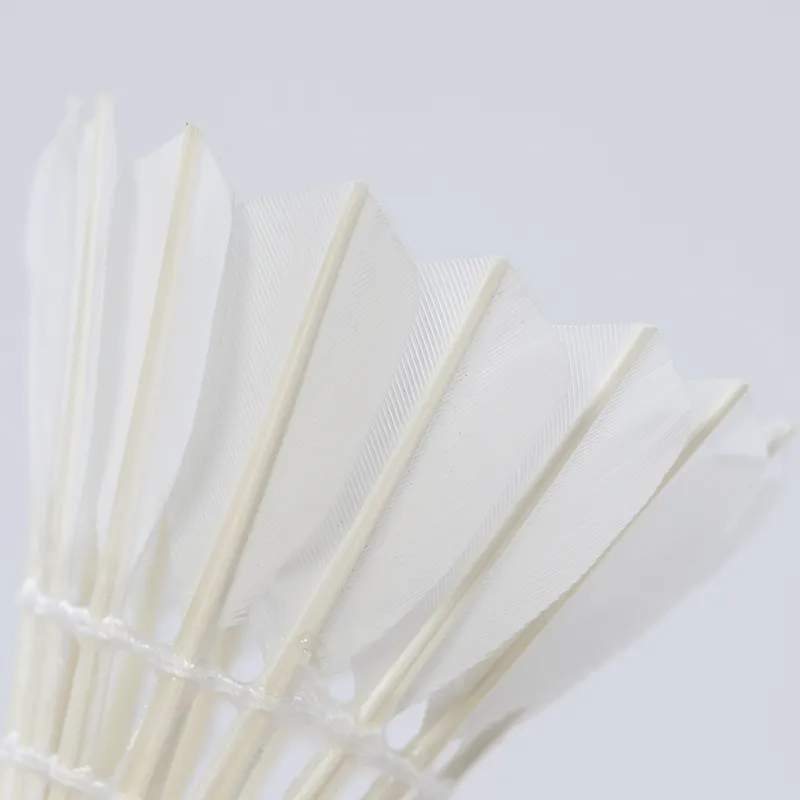 Kawasaki 12 Pack Goose Feather Shuttlecocks-2