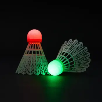 Kawasaki Shuttlecocks