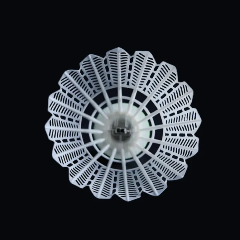 Kawasaki Shuttlecocks-2