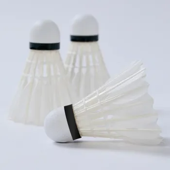Kawasaki 12 Pack Goose Feather Shuttlecocks