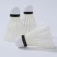 Through Galaxy 8 Goose Feather (12 Pack)